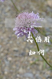 欠信用卡幾十萬怎么辦？家庭破碎，該如何處理?